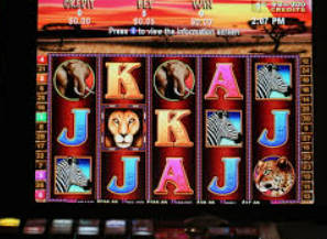 威廉体育手机版